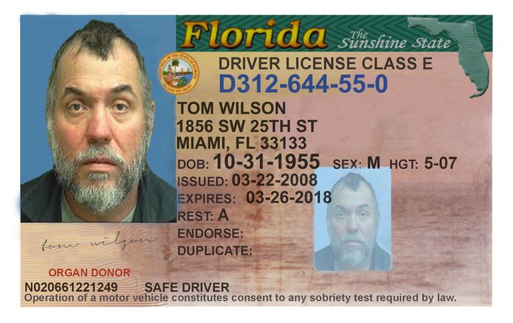 blank-florida-drivers-license-template-bestofil